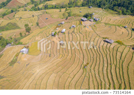 Aerial top view of dry paddy rice terraces, green agricultural fields in countryside, mountain hills valley in Asia, Pabongpieng, Chiang Mai, Thailand. Nature landscape. Crops harvest. drought Aerial top view of dry paddy rice terraces, green agricultural fields in countryside, mountain hills valley in Asia, Pabongpieng, Chiang Mai, Thailand. Nature landscape. Crops harvest. drought 73514164