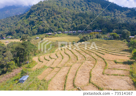 Aerial top view of dry paddy rice terraces, green agricultural fields in countryside, mountain hills valley in Asia, Pabongpieng, Chiang Mai, Thailand. Nature landscape. Crops harvest. drought 73514167