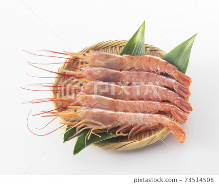 Red shrimp Red shrimp 73514508
