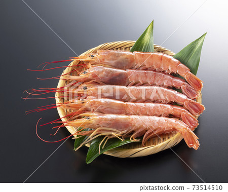 Red shrimp 73514510