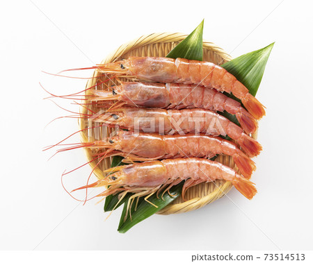 Red shrimp 73514513