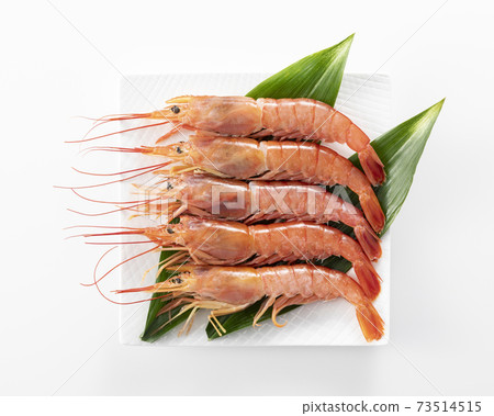 Red shrimp Red shrimp 73514515