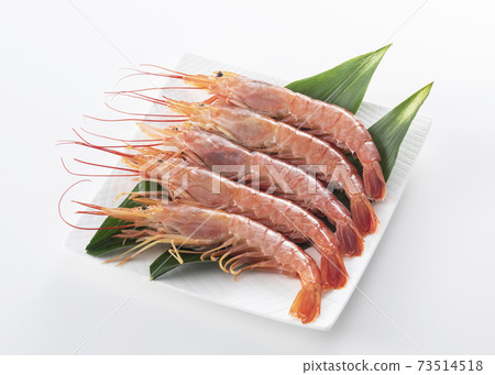 Red shrimp 73514518