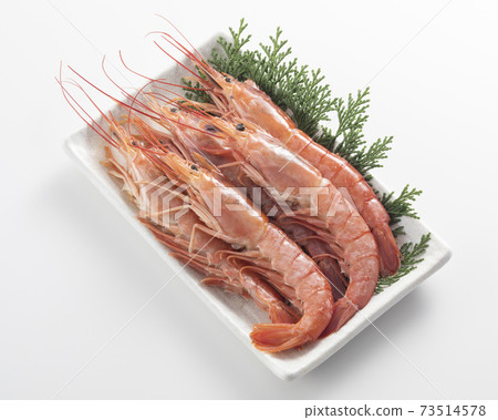 Red shrimp 73514578