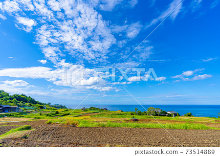 Kyoto Sodeshi Rice Terraces (early autumn) 73514889