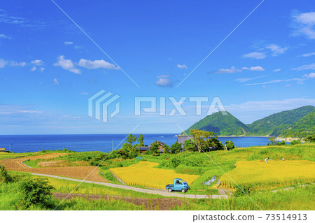 京都田田壯志（秋初） 73514913