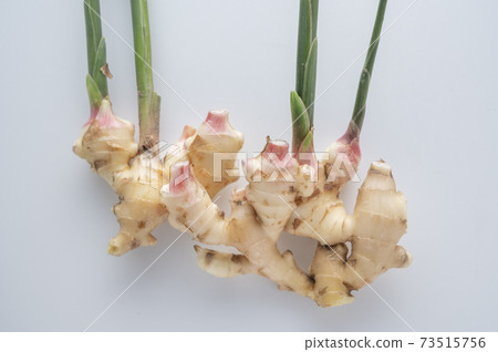 New ginger ginger 73515756