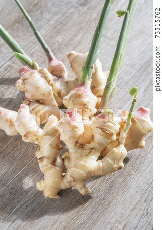 New ginger ginger 73515762