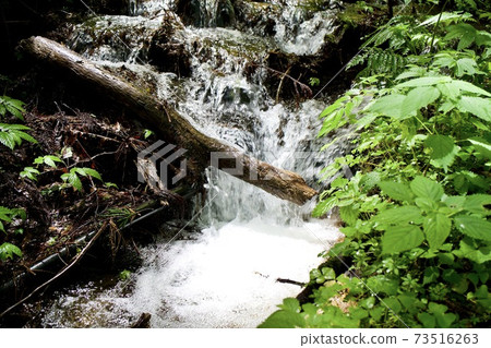 Small stream waterfall Small stream waterfall 73516263