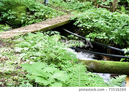 A small wooden bridge over a stream 73516269