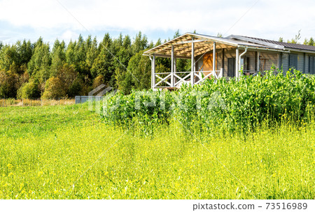 Finnish rustic wooden house in summer day Finnish rustic wooden house in summer day 73516989