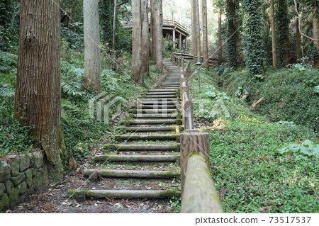 伏見Kakehashi（Minamiboso） 73517537
