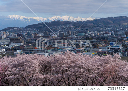 Cherry blossoms at Koboyama Kofun Cherry blossoms at Koboyama Kofun 73517817