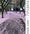 櫻花地毯 73518433