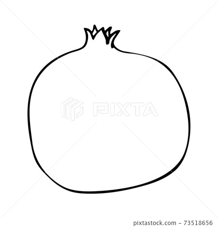 Pomegranate illustration in line art isolated on Pomegranate illustration in line art isolated on 73518656