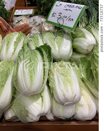 中國蔬菜銷往海外市場 73518737