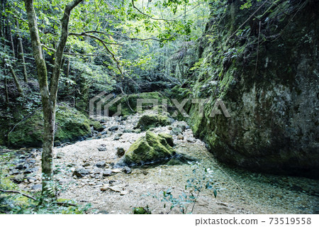 Chiiwa Gorge Hiking Chiiwa Gorge Hiking 73519558