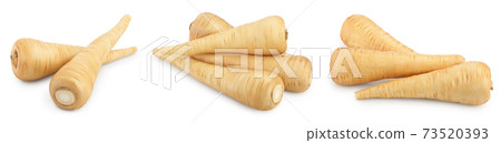 Parsnip root and slices with parsley isolated on white background closeup, Set or collection 73520393