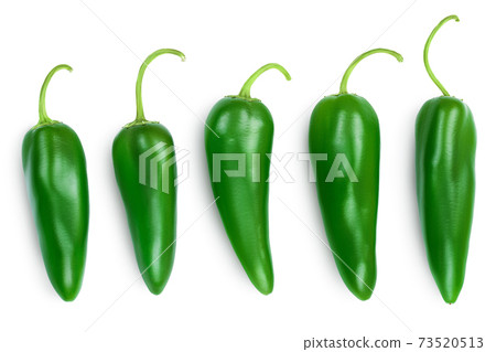 jalapeno peppers isolated on white background. Green chili pepper with clipping path. Top view. Flat lay. Set or collection jalapeno peppers isolated on white background. Green chili pepper with clipping path. Top view. Flat lay. Set or collection 73520513