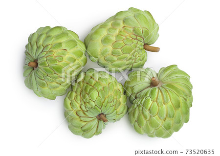 Sugar apple or custard apple isolated on white background with clipping path . Exotic annona or cherimoya fruit. Top view. Flat lay Sugar apple or custard apple isolated on white background with clipping path . Exotic annona or cherimoya fruit. Top view. Flat lay 73520635