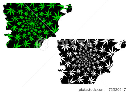 Chubut (Region of Argentina, Argentine Republic, Provinces of Argentina) map is designed cannabis leaf green and black, Chubut Province map made of marijuana (marihuana,THC) foliage,.... Chubut (Region of Argentina, Argentine Republic, Provinces of Argentina) map is designed cannabis leaf green and black, Chubut Province map made of marijuana (marihuana,THC) foliage,.... 73520647
