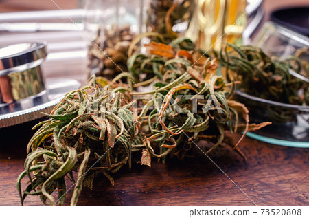 Medical Marijuana in Cannabis Flower Before The Harvest Concept Medical Marijuana in Cannabis Flower Before The Harvest Concept 73520808