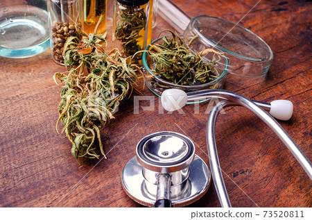 Medical Marijuana in Cannabis Flower Before The Harvest Concept Medical Marijuana in Cannabis Flower Before The Harvest Concept 73520811