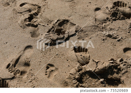 Ichigohama Footprints Ichigohama Footprints 73520989