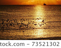 The path of light in the morning sun and the flock of birds 73521302