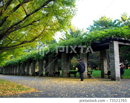 Autumn park scenery Autumn park scenery 73521765