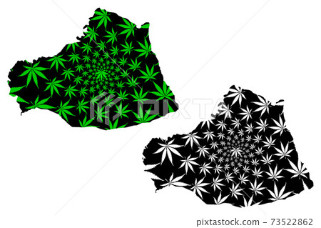 Sanliurfa (Provinces of the Republic of Turkey) map is designed cannabis leaf green and black, Sanliurfa ili (Urfa Province) map made of marijuana (marihuana,THC) foliage,.... 73522862