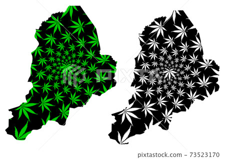 Borno State (Subdivisions of Nigeria, Federated state of Nigeria) map is designed cannabis leaf green and black, Borno map made of marijuana (marihuana,THC) foliage.... 73523170