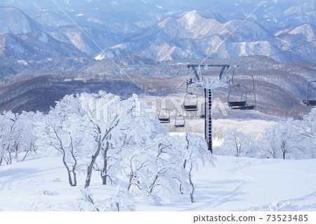 Mt. Moriyoshi, one of Japan's three largest trees in Akita Prefecture Mt. Moriyoshi, one of Japan's three largest trees in Akita Prefecture 73523485