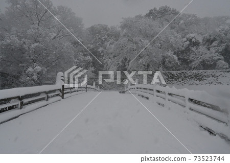 Heavy snowfall at Hikone Castle and Otemon Bridge 73523744