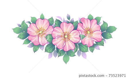 Hand Drawn Dog-Rose Flowers and Leaves - Stock Illustration [73523971 ...