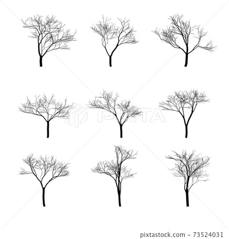 Dry bare trees silhouette set 73524031