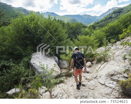 back of man hiker on hiking trail to Gola Su Gorropu gorge and green forest landscape of Supramonte Mountains with limestone rock and mediterranean vegetation, Nuoro, Sardinia, Italy. Summer 73524621