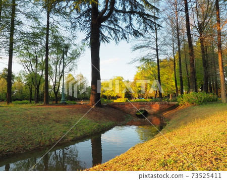 Park and bridge 73525411