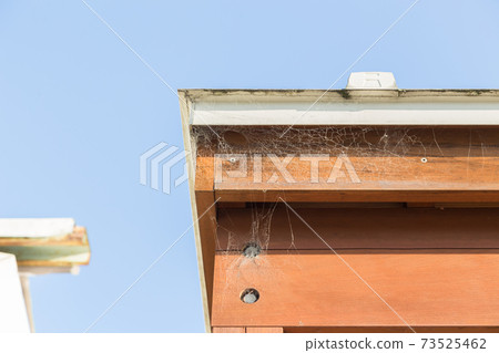 Roof spider web Roof spider web 73525462