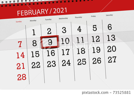 Calendar planner for the month february 2021 Stock