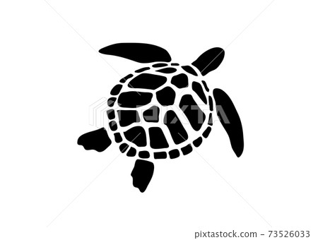 Vector of turtle design on white background.... - Stock Illustration ...
