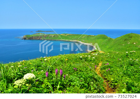 禮文島開普戈羅塔角的風景 禮文島開普戈羅塔角的風景 73527024