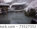 Papillot hot spring cranes hot water 73527352