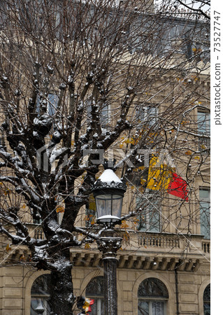 First snow in Paris, January 16, 2021 First snow in Paris, January 16, 2021 73527747