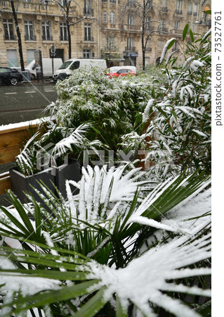 2021年1月16日,巴黎第一次下雪 2021年1月16日,巴黎第一次下雪 73527761