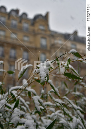 2021年1月16日,巴黎第一次下雪 2021年1月16日,巴黎第一次下雪 73527764