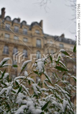 2021年1月16日,巴黎第一次下雪 2021年1月16日,巴黎第一次下雪 73527766