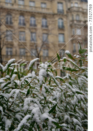 2021年1月16日,巴黎第一次下雪 2021年1月16日,巴黎第一次下雪 73527769