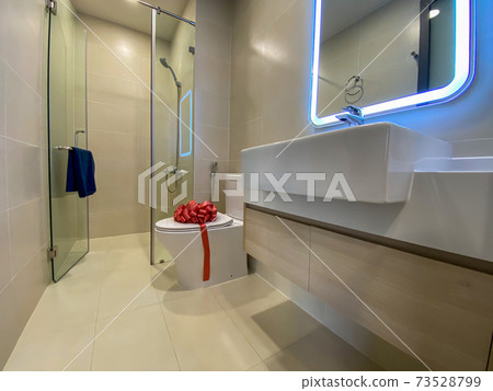 Brand new toilet in restroom of an model house Brand new toilet in restroom of an model house 73528799