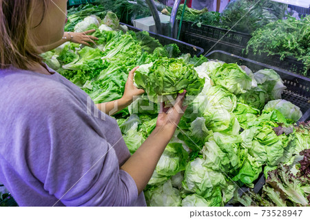 Rear view of young lady picking fresh vegetable at marketplace Rear view of young lady picking fresh vegetable at marketplace 73528947